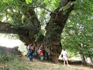 Manzaneda e Sobrado de Trives